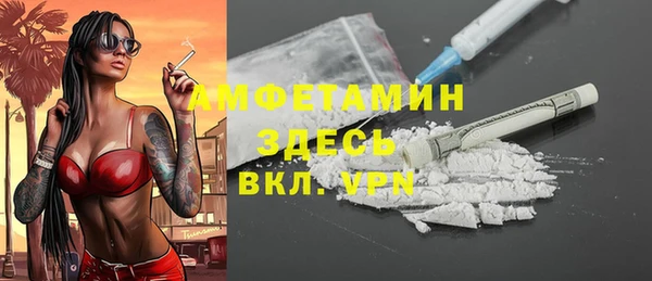 стаф Алзамай