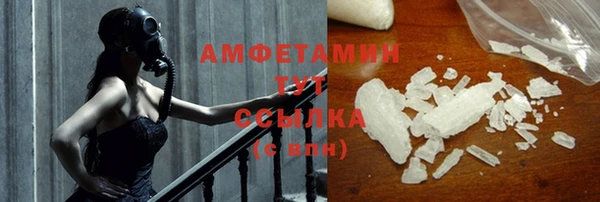 стаф Алзамай