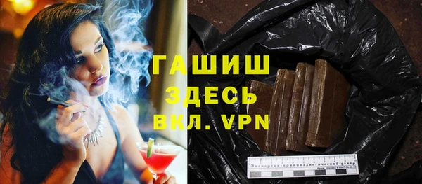 стаф Алзамай