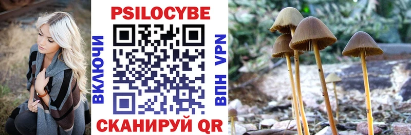 Галлюциногенные грибы GOLDEN TEACHER  где найти наркотики  Новоузенск 